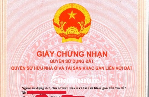 Vị trí 